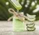Aloe Vera is more than just a plant. Discover 5 of its many benefits with Savers.