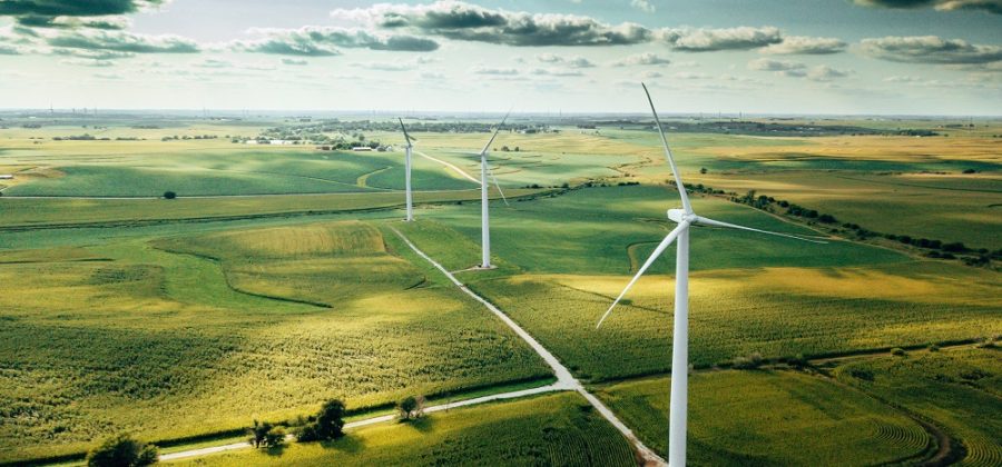 How to be more eco-friendly at Savers