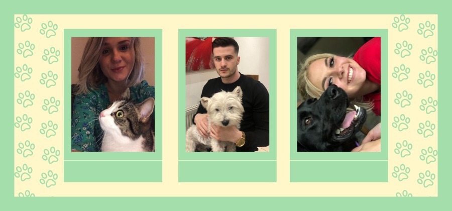 Our favourite pet products