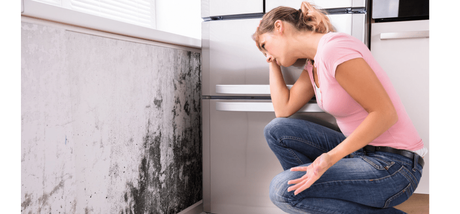 How to get rid of mould in the home