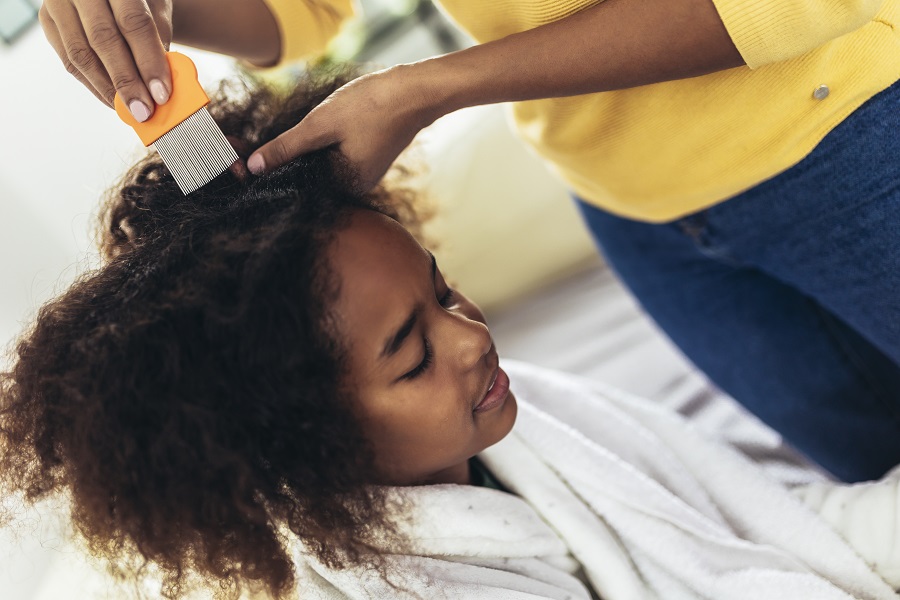 Parent applies head lice treatment to young girl with black natural hair