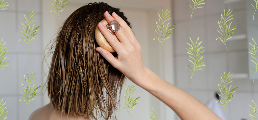 Why is everyone adding Rosemary Oil to their hair-care routine?