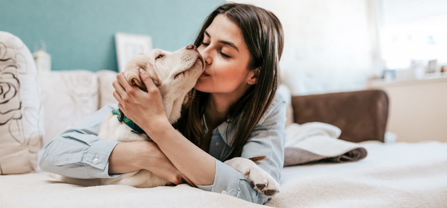 How to clean your washing machine with Vamoosh?