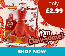 E0926-Nylabone-Dog-Toy-Lobster-Tile-225x195px.jpg
