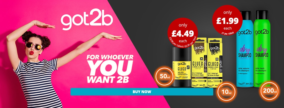 E0825-Got2B-Trendig-Hair-Desktop-1200x458px.jpg