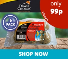 e1624-pet_Tile_DAWN_CHORUS_WILDBIRD_FATBALLS.jpg