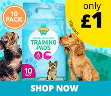 E1426-Cooper-PuppyTraining-Pads-Pet-Tile-225x195px.jpg