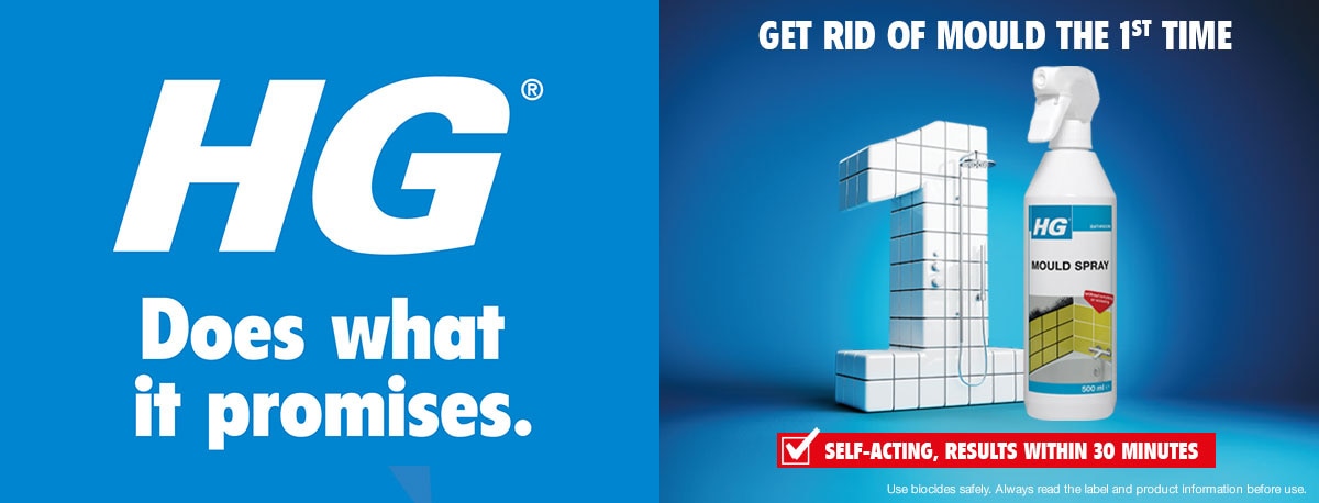 HGCleaning_banner_mould_1200x458.jpg
