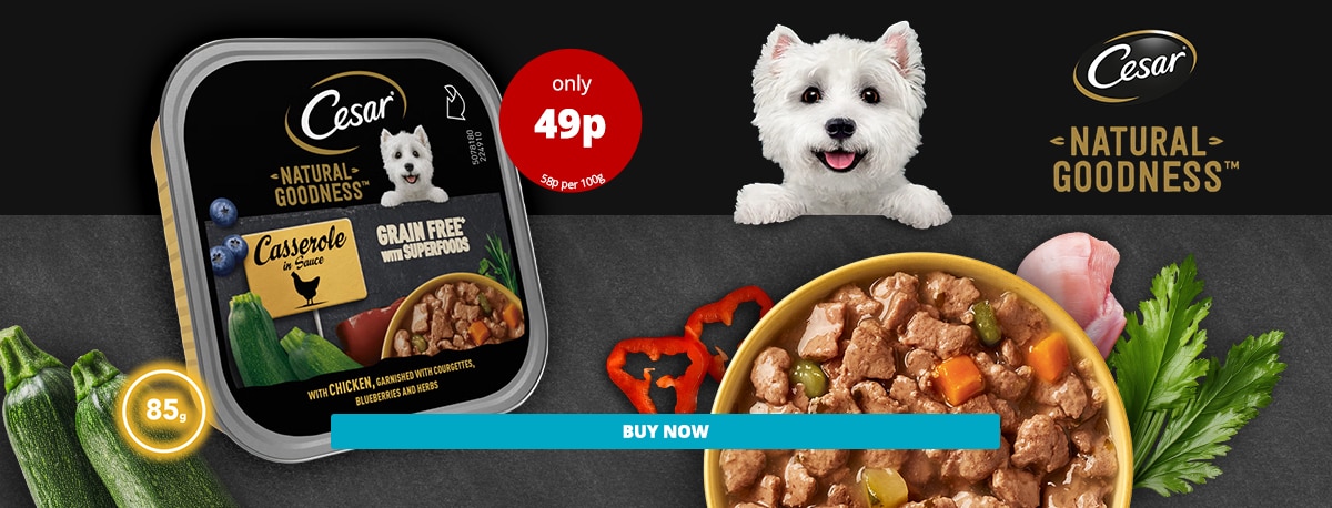 E1425-Cesar-CaseroleWithChicken-Pet-Desktop-1200x458px.jpg