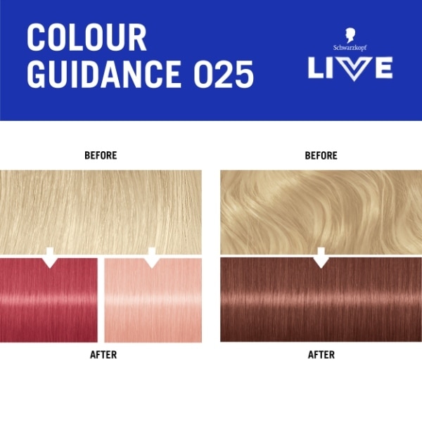 Live Colour Moment 025 Dusty Rose