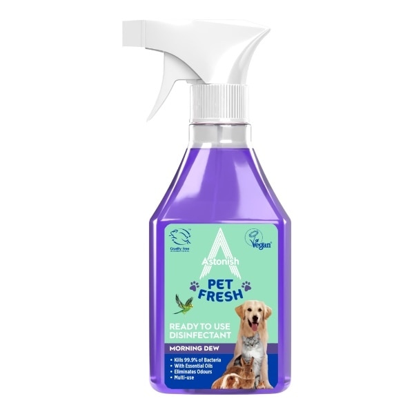 Astonish Disinfectant Morning 550ml
