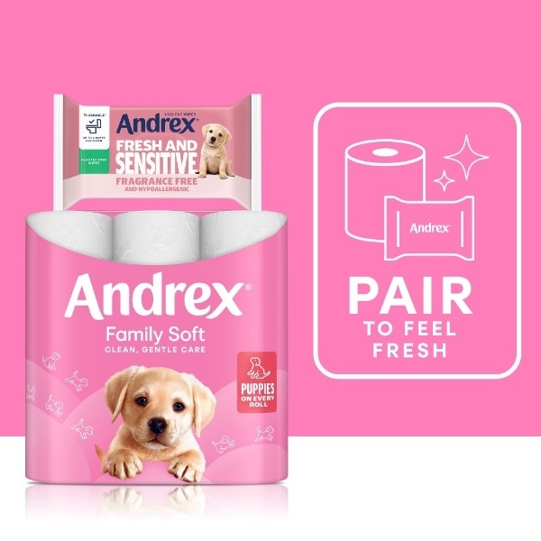 Andrex Family Soft 12 Roll