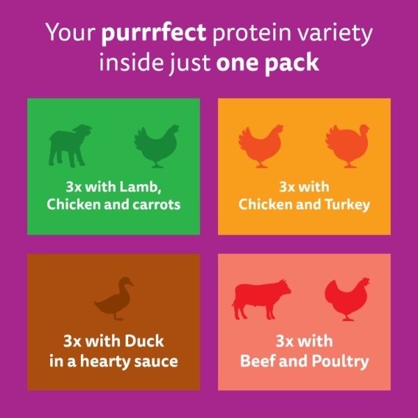 Whiskas Pouch Tasty Mix Country Gravy 12X85g