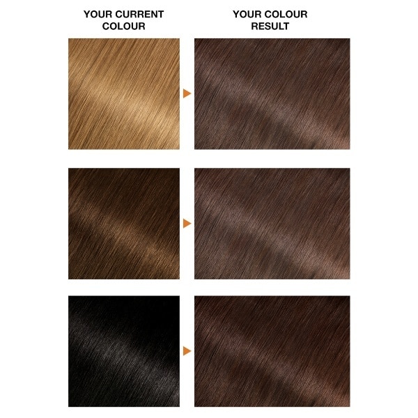 Garnier Belle Colour Natural Brown 05