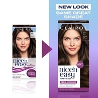 Nicen Easy No Ammonia Medium Ash Brown