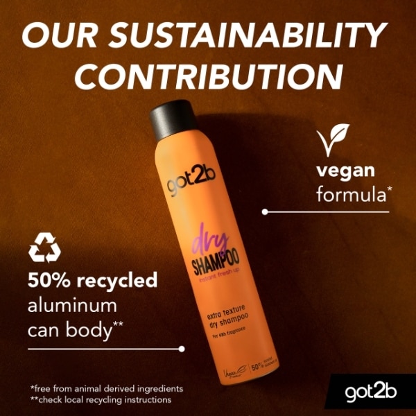 Got2B Fresh It Up Texture Dry Shampoo 200ml