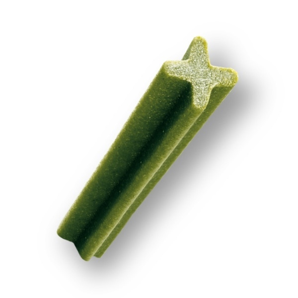 Pedigree Dentastix Chews Large Dog 4 Pack