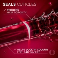 Elvive Colour Protect Shampoo 700ml