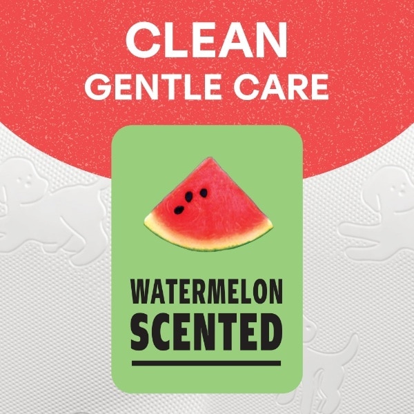 Andrex Family Soft Watermelon 9 Roll