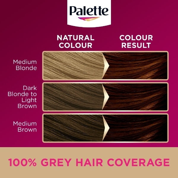 Palette 5-68 Golden Chesnut