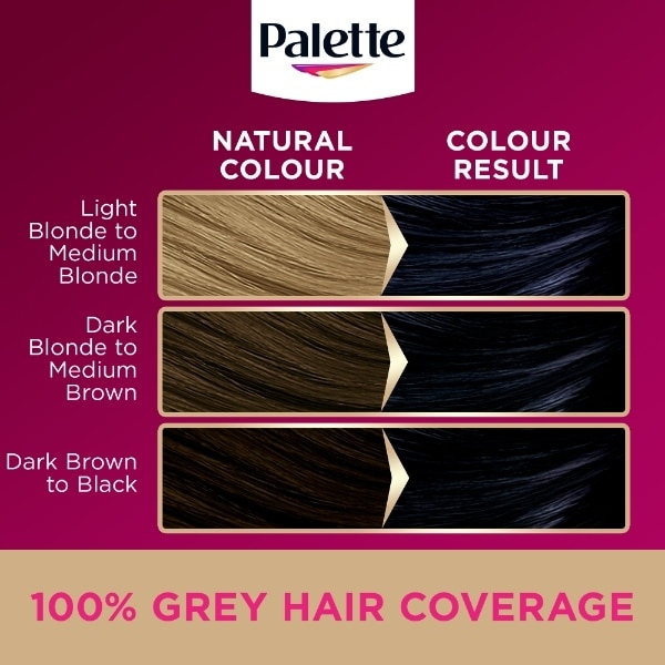 Palette 1-1 Blue Black