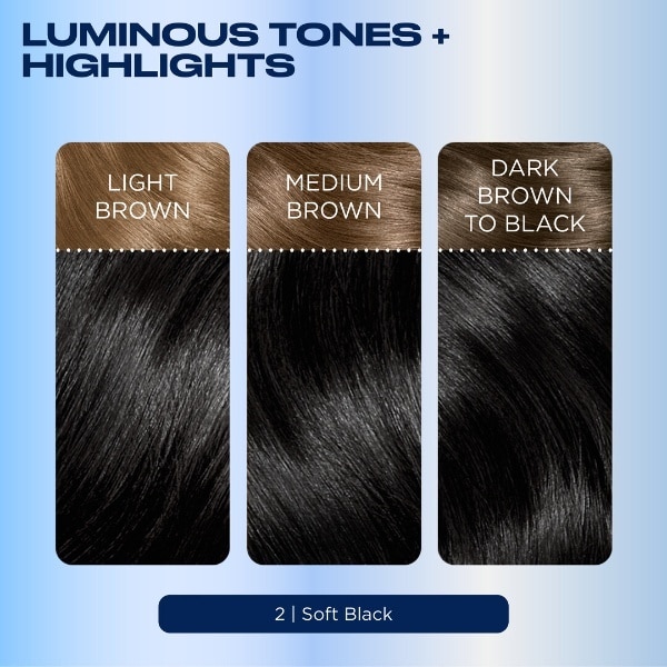 Clairol Nice'n Easy Hair Dye 2 Black