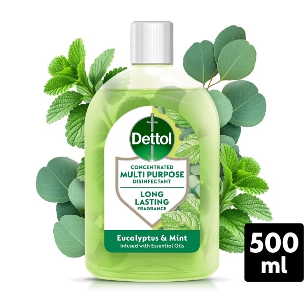 Dettol Euc&Mint Asl 500Mlx24