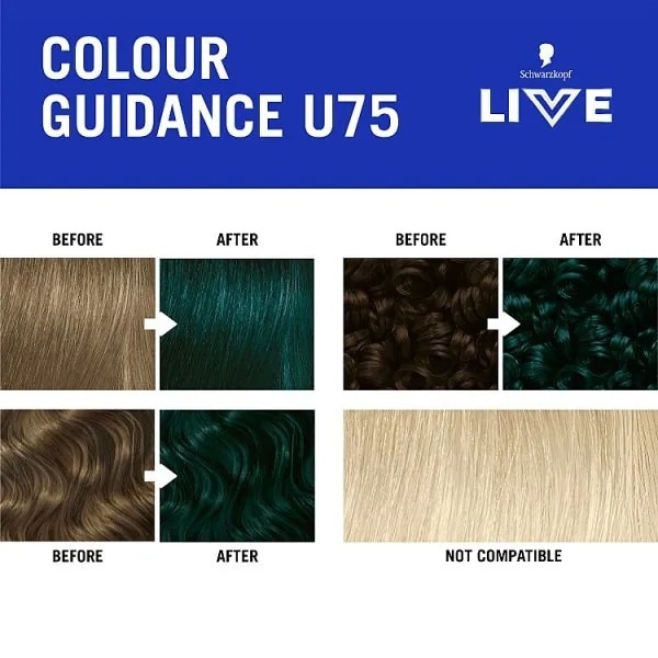 Live U75 Midnight Jade Permenant Hair Dye