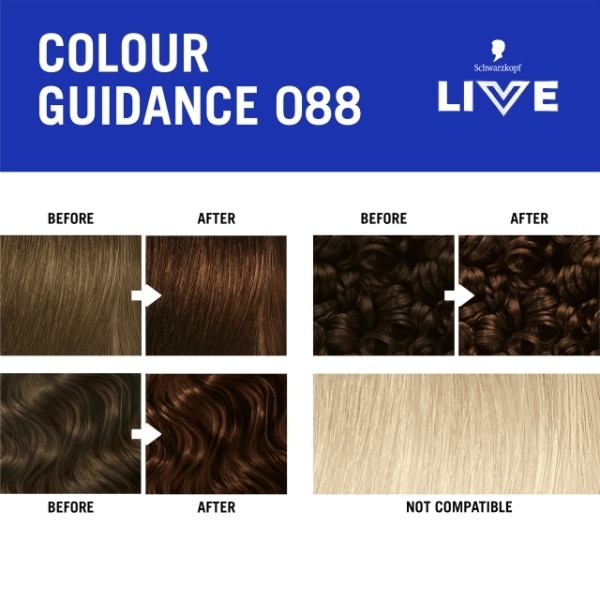 Live Intense Colour 088 Urban Brown