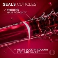 Elvive Colour Protect Shampoo 400ml