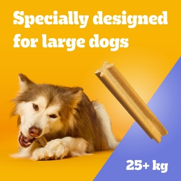 Pedigree Dentastix Daily Dental Chews Large Dog Treats 4 Sticks
