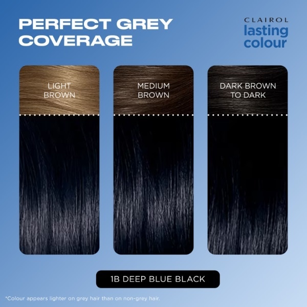 Clairol Lasting Colour Permanent Hair Dye - 1B Blue Black