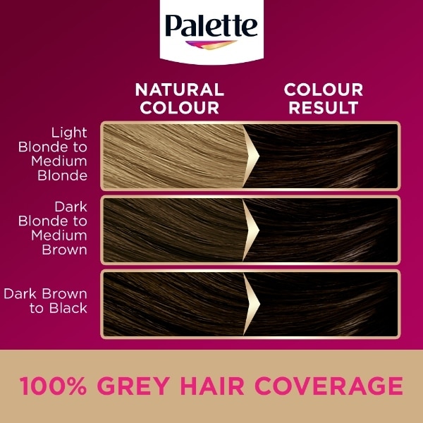 Palette 3-0 Black Brown