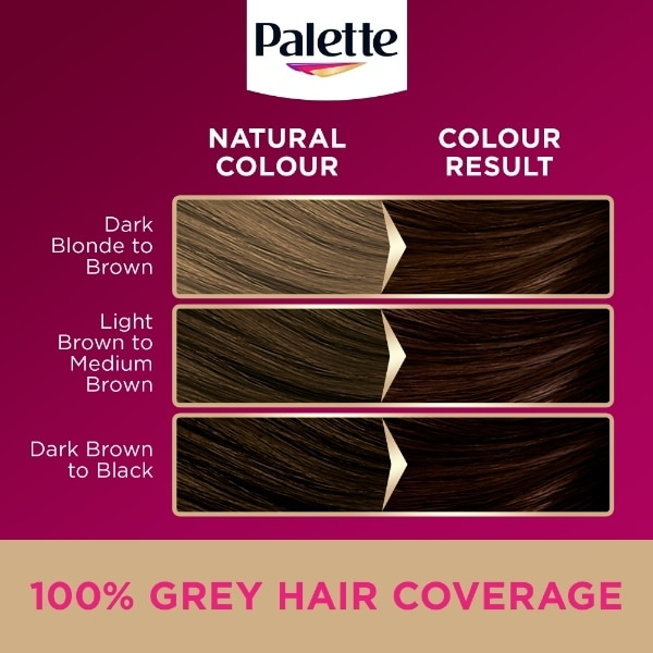 Palette 3-65 Chocolate Brown