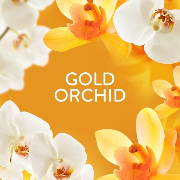 Lenor Scent Booster Gold Orchid 420G