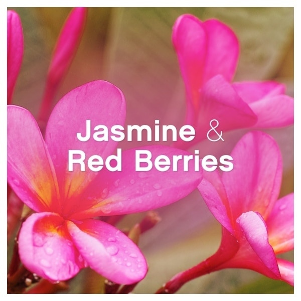 Lenor Fabric Conditioner 26 Washes, Jasmine & Red Berries