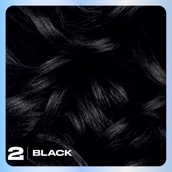 Clairol Nice'n Easy Hair Dye 2 Black