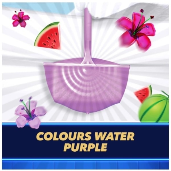 Duck Watermelon Rim Block Toilet Cleaner 36G