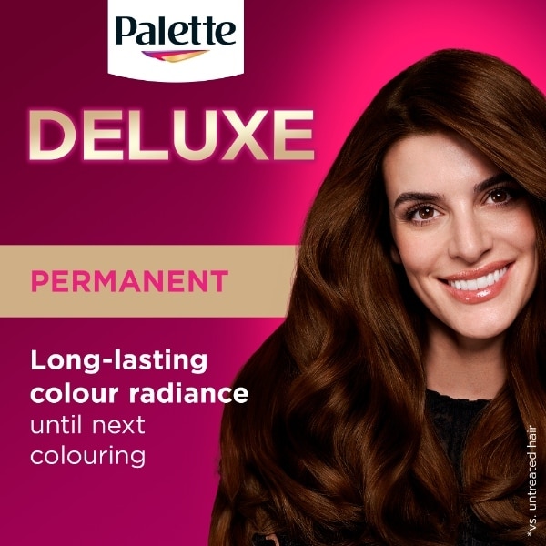 Palette 3-65 Chocolate Brown