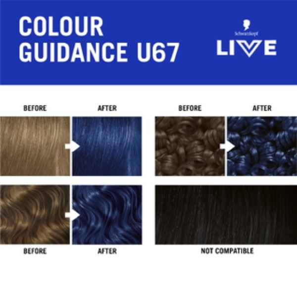 Live U67 Blue Mercury Permanent Hair Dye